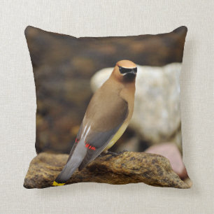 Almohada de MoJo del americano del Waxwing de