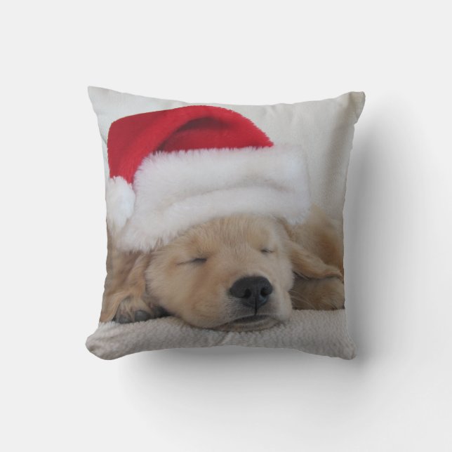 Almohada de oro del perrito (Anverso)