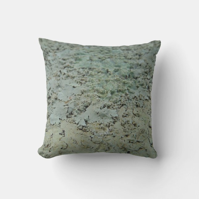 almohada de patrón abstracto de liquen gris verde  (Anverso)