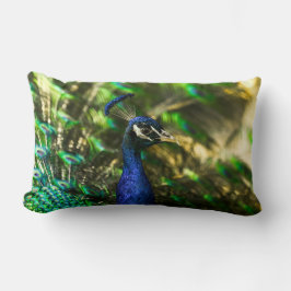 almohada de pavo real