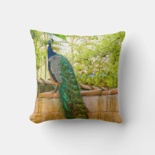 Almohada de Pavo Real 1