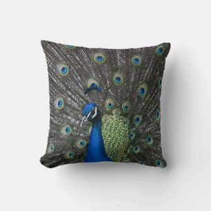 Almohada de Pavo Real Pintado