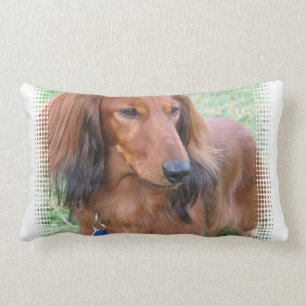 Almohada de pelo largo del Dachshund