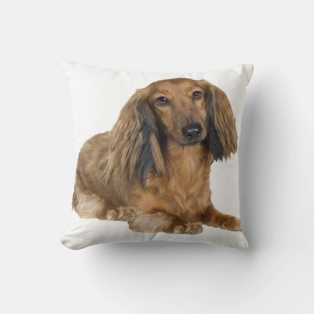 Almohada de pelo largo del Dachshund del oro (Anverso)