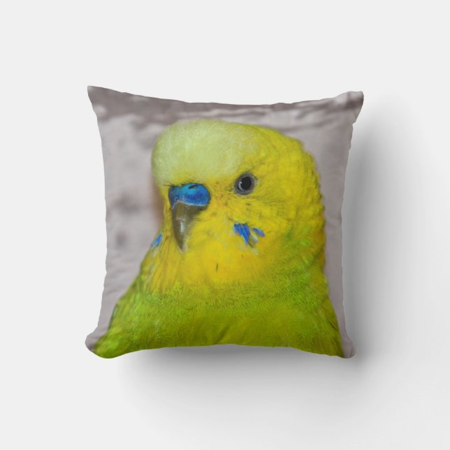 Almohada de periquito amarillo (Anverso)