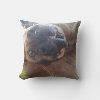 almohada de perro