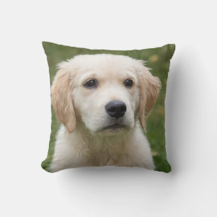 Almohada de perro cachorro lindo