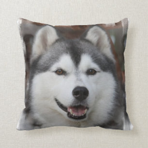 Almohada de perro Husky