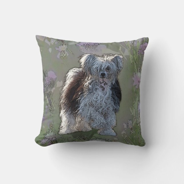 almohada de perro polvorienta china (Anverso)