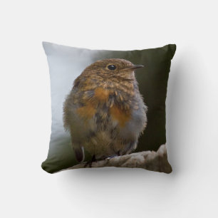 Almohada de petirrojo bebé