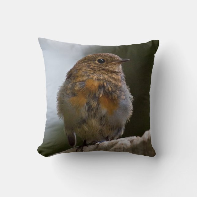 Almohada de petirrojo bebé (Anverso)