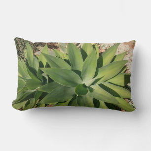 Almohada de plantas suculentas verdes