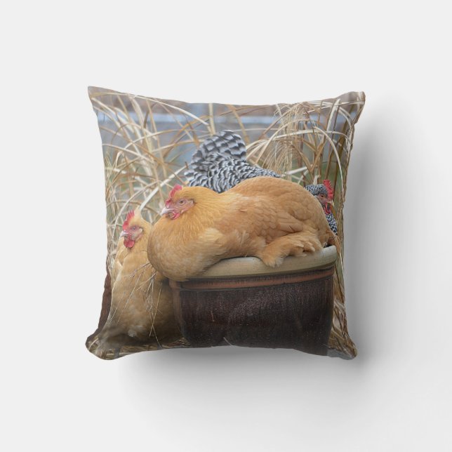 Almohada de Pollo Bonito (Anverso)