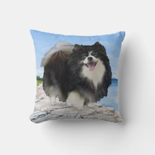 Almohada de Pomerania en la orilla del mar
