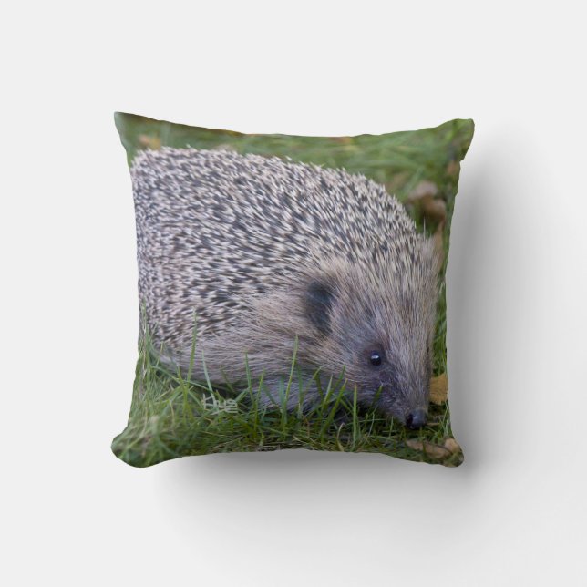 Almohada de púas (Anverso)