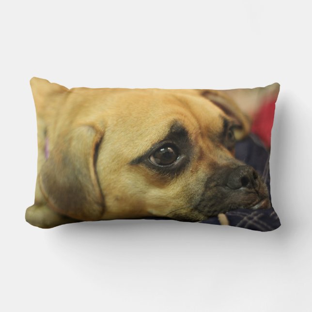 Almohada de Puggle (Anverso)