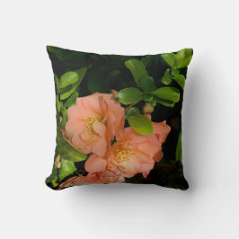 almohada de quince y rhoddy