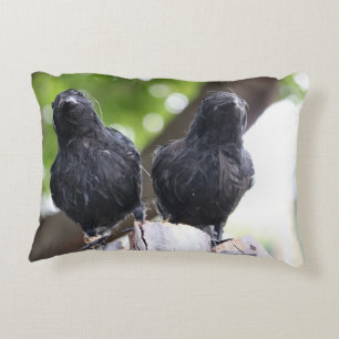 almohada de Raven