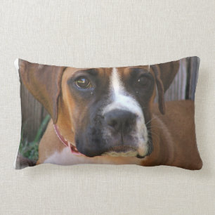 Almohada de rescate de boxer