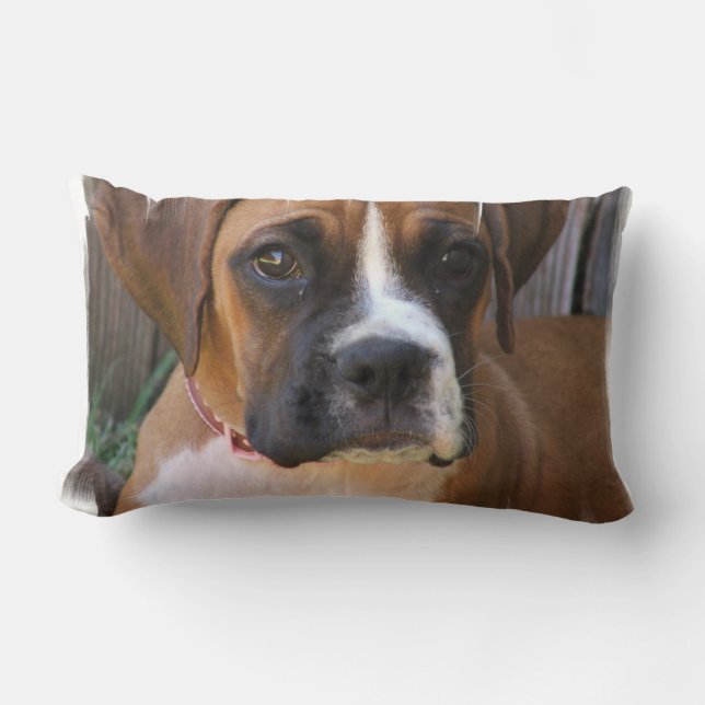 Almohada de rescate de boxer (Anverso)