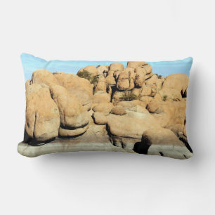 almohada de rock del lago Watson
