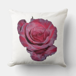 almohada de Rosa