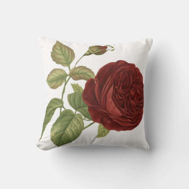 almohada de Rosa (Anverso)