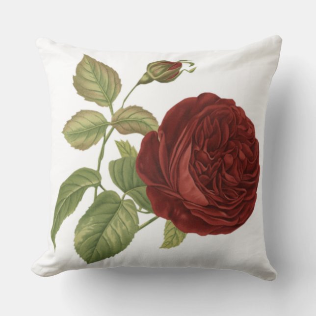 almohada de Rosa (Anverso)