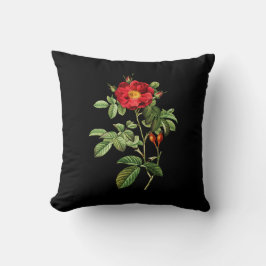 Almohada de Rosa Damascena