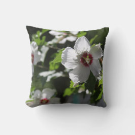 Almohada de Rosa de Sharon