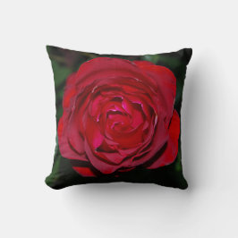 almohada de rosa nocturno