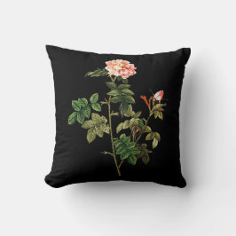 Almohada de Rosa Orbessanea