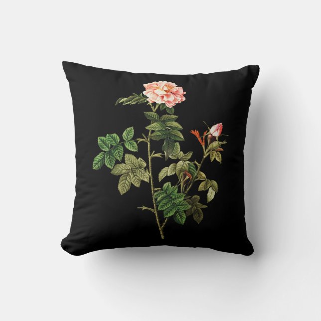 Almohada de Rosa Orbessanea (Anverso)
