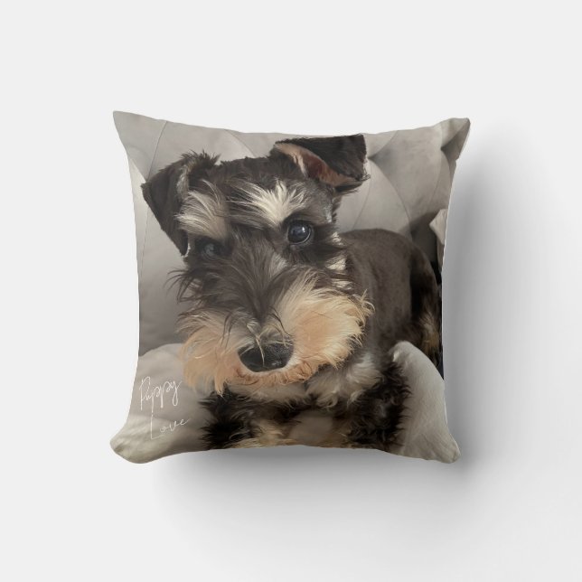 Almohada de Schnauzer (Anverso)