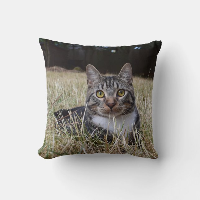 Almohada de Skooter (Anverso)