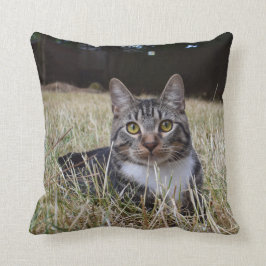 Almohada de Skooter