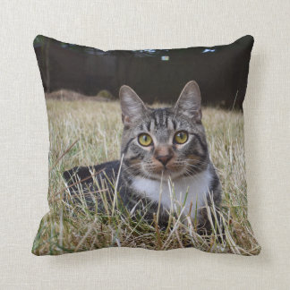 Almohada de Skooter