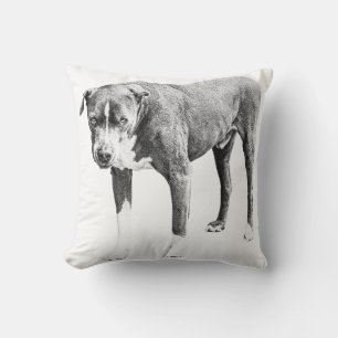 Almohada de soplo de arbusto sombreado