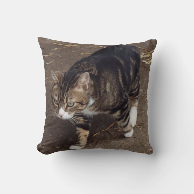 almohada de tabby cat (Anverso)