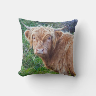 Almohada de ternera de las Highlands joven