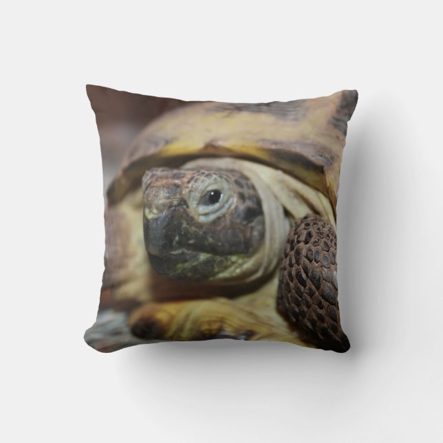 almohada de tibbs (Anverso)