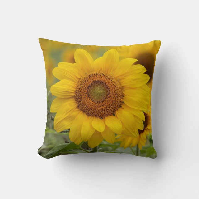 Almohada de Tira de Girasol Amarillo Decoración de (Anverso)