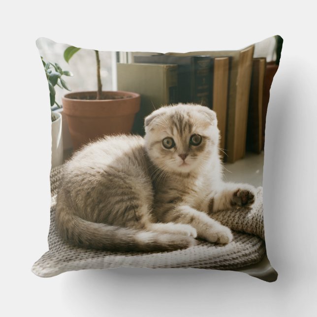 Almohada de tirar de gato Scottish Fold acogedor (Anverso)