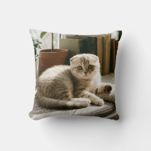 Almohada de tirar de gato Scottish Fold acogedor