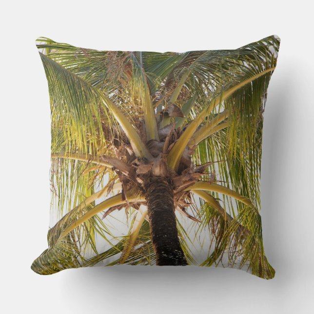 Almohada de tirar de palmera (Anverso)