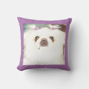 almohada de tiras de cachorro/pekingese.