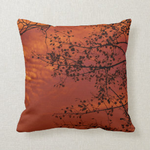 almohada de tiro anaranjada con sabor asiático