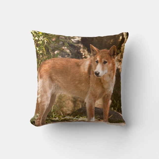 Almohada de tiro australiana del dingo (Anverso)