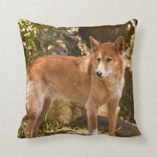 Almohada de tiro australiana del dingo
