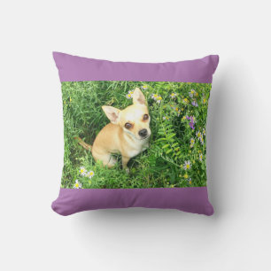 almohada de tiro chihuahua púrpura.